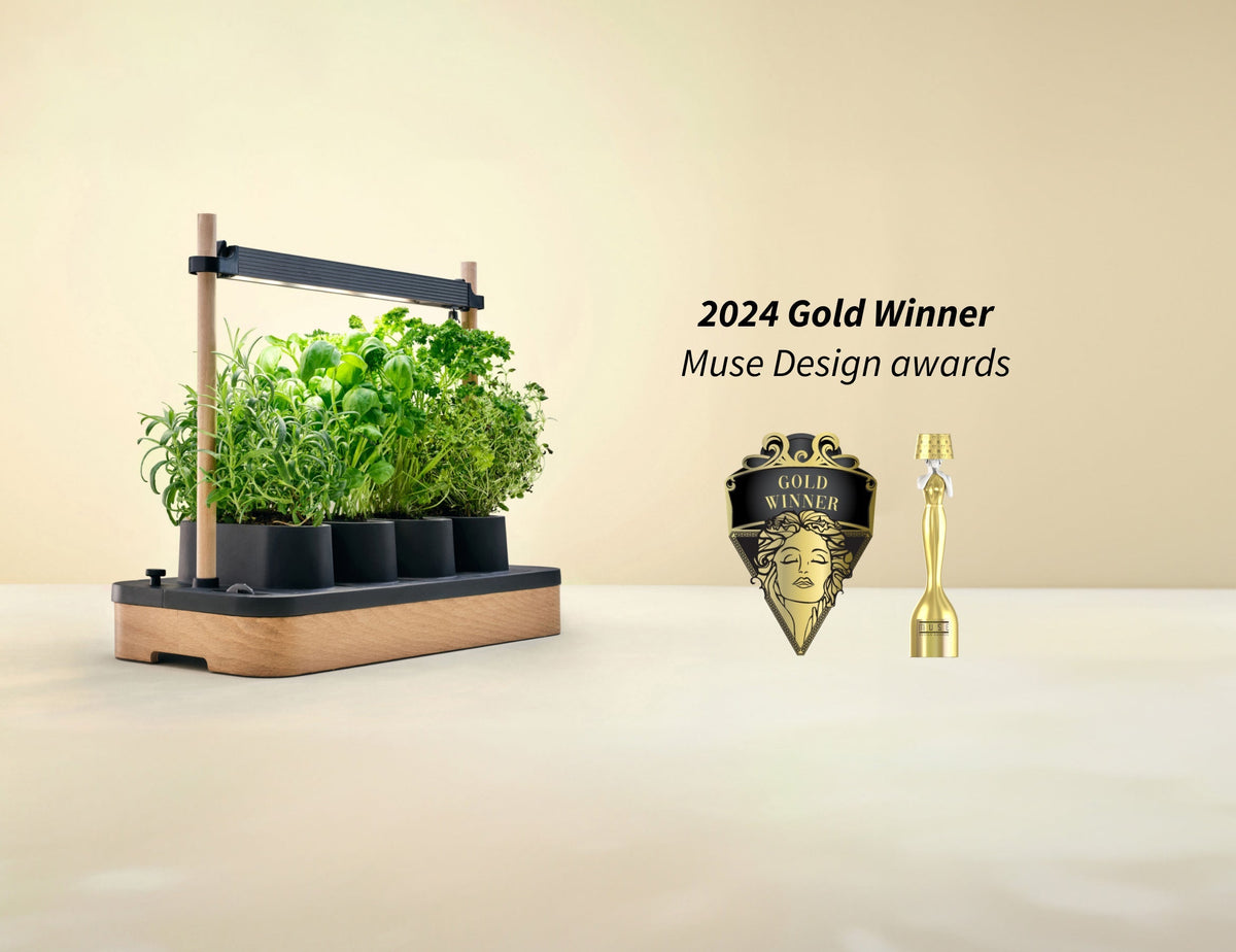 Auk Mini Wins Gold at the MUSE Design Awards